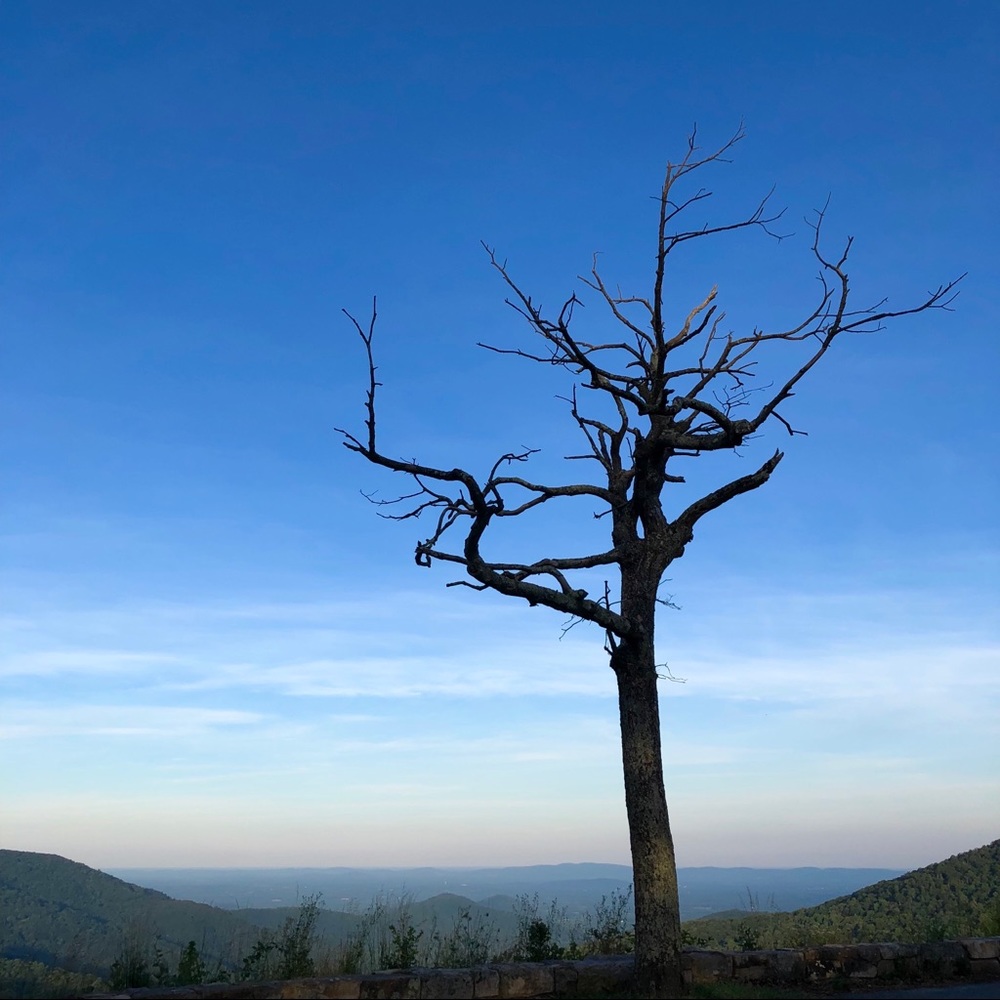 Meet your Posher, Valerie